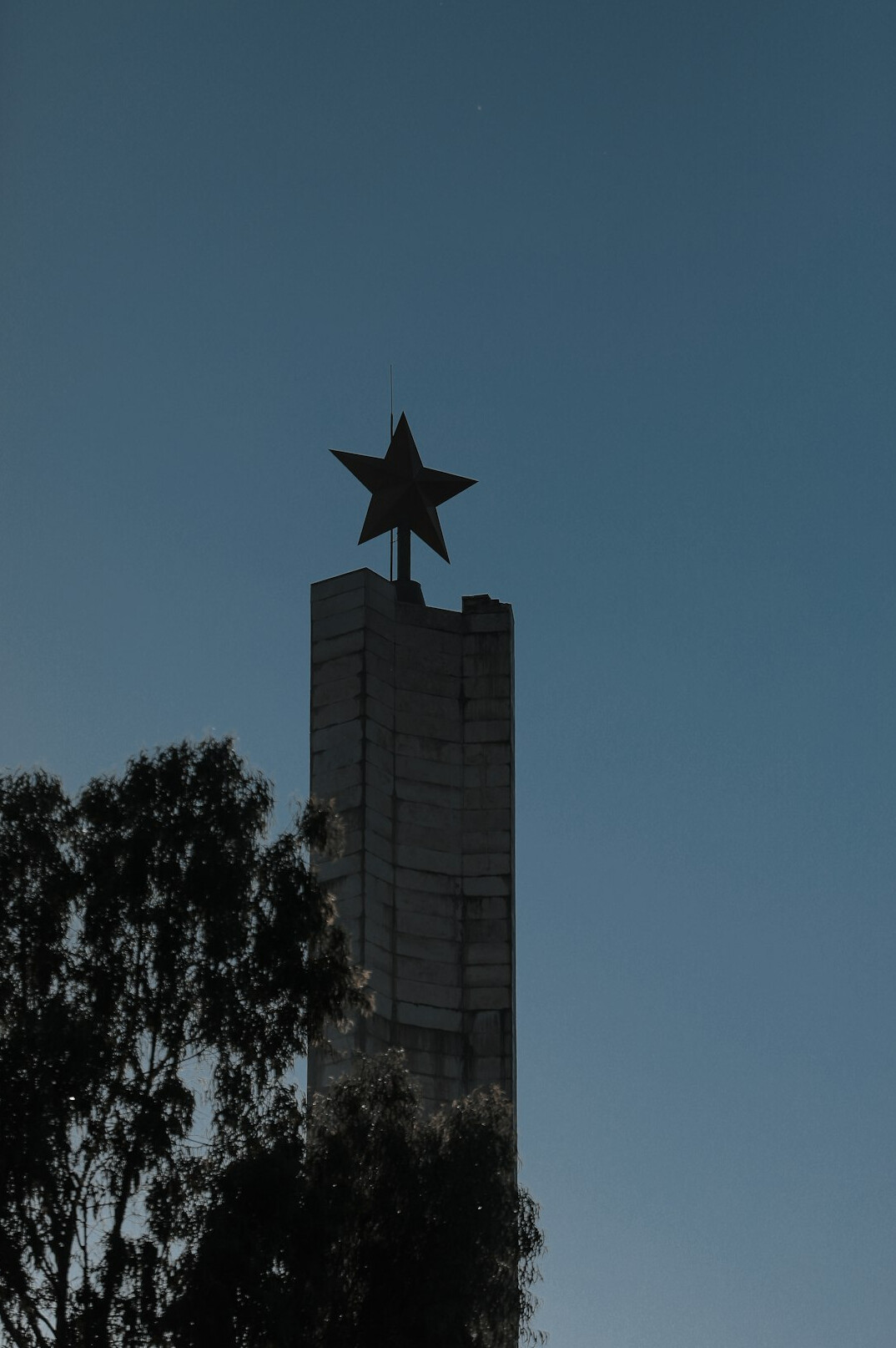 uruguayan celebrity portrait